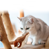 Jouet en peluche pour animaux de compagnie