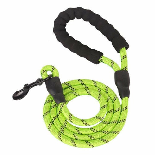 Laisse réfléchissante en nylon tressé pour chien – pour la promenade et le dressage