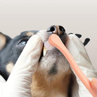 Brosse à dents pour chiens et chats – soins bucco-dentaires
