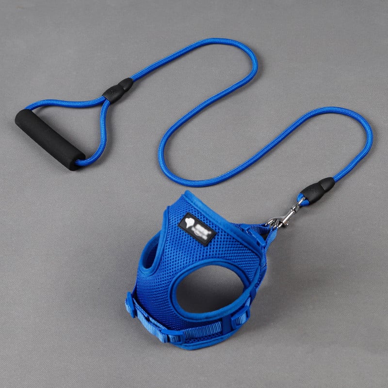 Set laisse et collier pour chiens et animaux de compagnie