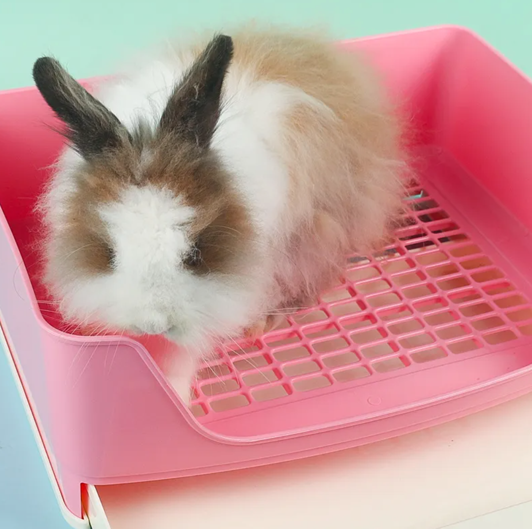 Toilette anti-éclaboussures pour lapin