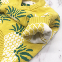 Pull chaud pour chien – Maille premium au design ananas