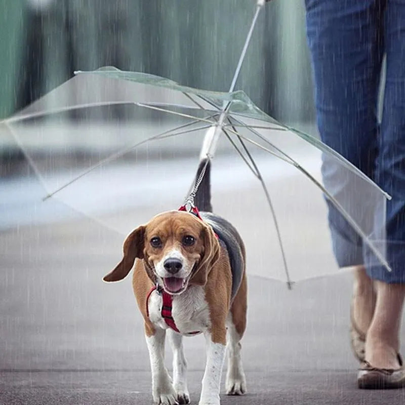 Parapluie pour chien avec laisse intégrée – Protection pluie design premium