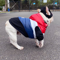 Gilet en coton à coutures tricolores pour animaux de compagnie