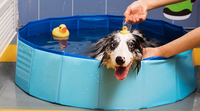 Piscine pliable pour animaux – Accessoire d’été premium
