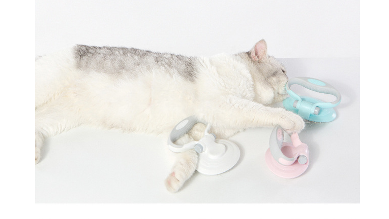 Brosse de toilettage auto-nettoyante en acier pour animaux – Outil de soin premium pour chiens