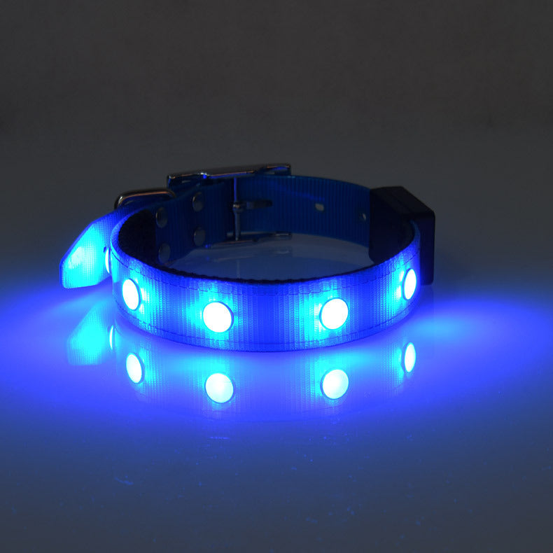 Collier lumineux ajustable et étanche pour animaux de compagnie