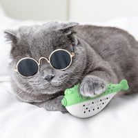 Jouet pour chat en forme de poisson à la menthe avec brosse à dents – soin dentaire
