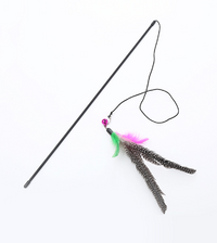 Jouet de qualité pour chat avec design de petit oiseau à plumes mignon