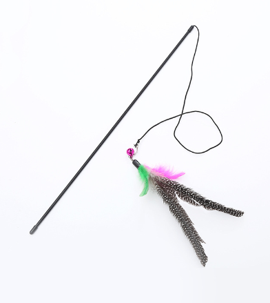 Jouet de qualité pour chat avec design de petit oiseau à plumes mignon