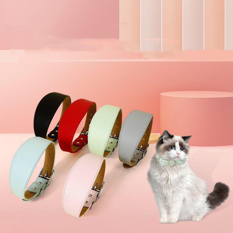 Collier Ajustable Décontracté pour Animaux