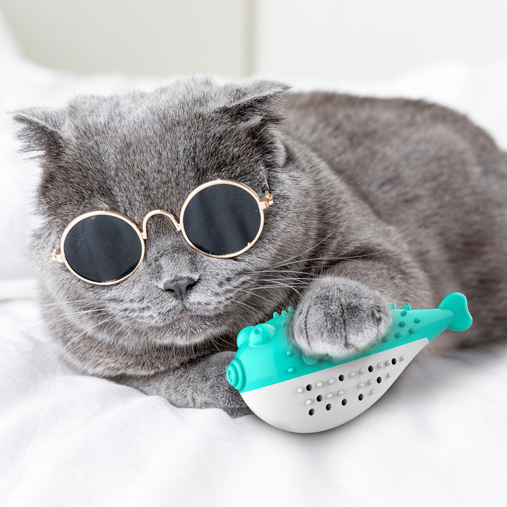 Jouet pour chat en forme de poisson à la menthe avec brosse à dents – soin dentaire