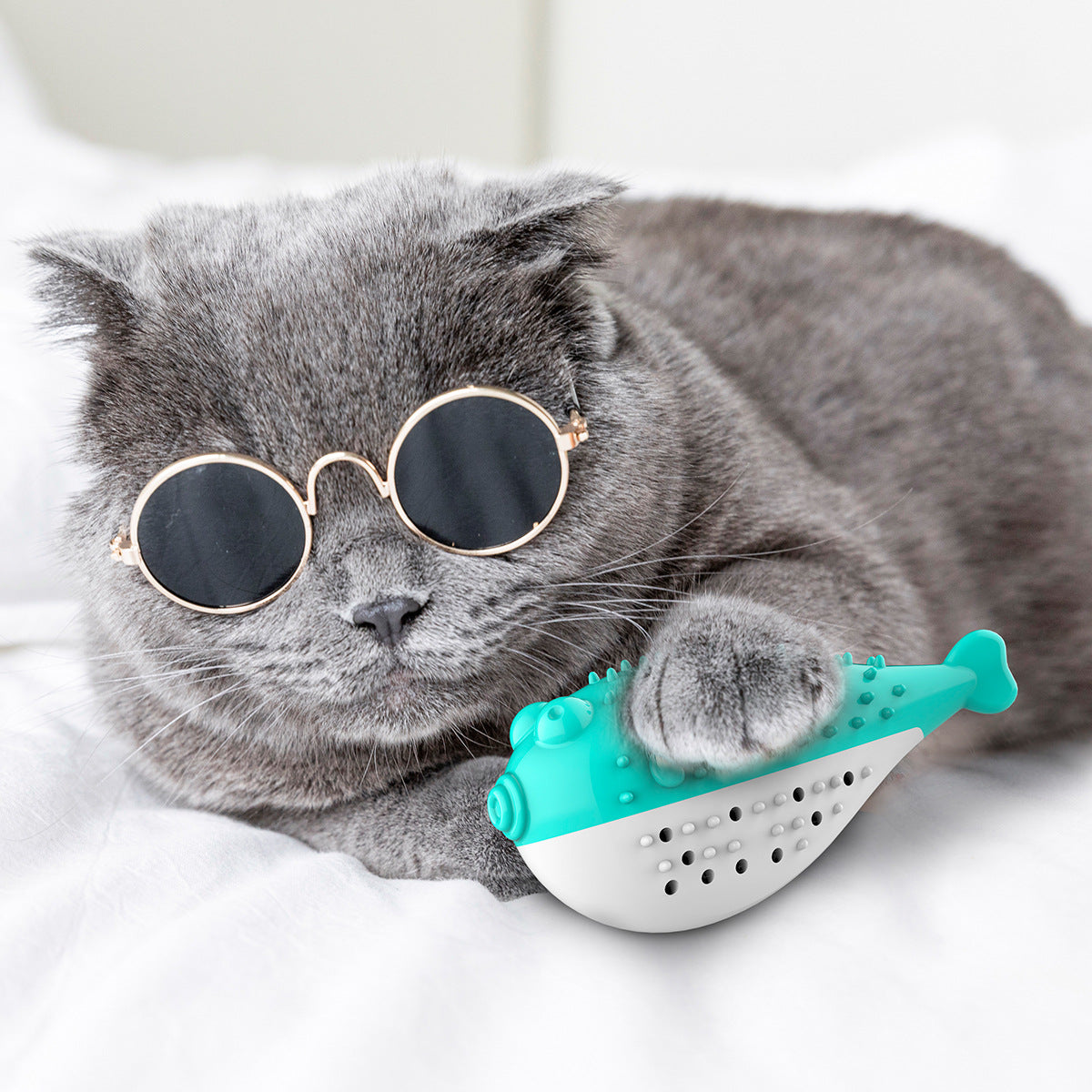 Jouet pour chat en forme de poisson à la menthe avec brosse à dents – soin dentaire