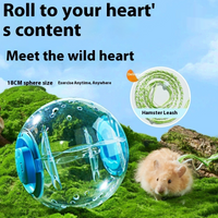 Boule de course d’exercice pour hamster