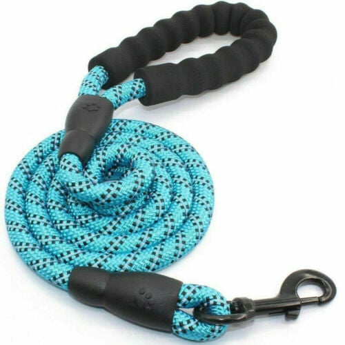 Laisse réfléchissante en nylon tressé pour chien – pour la promenade et le dressage