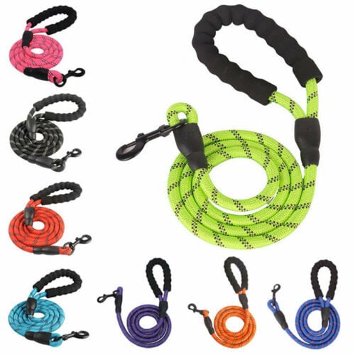 Laisse réfléchissante en nylon tressé pour chien – pour la promenade et le dressage