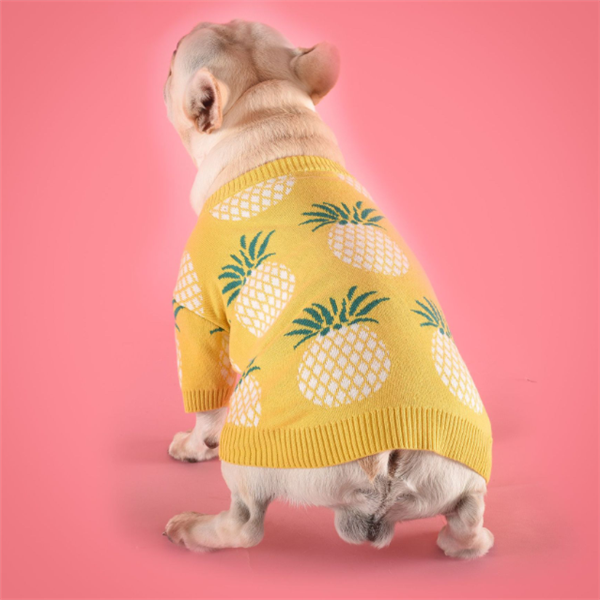Pull chaud pour chien – Maille premium au design ananas