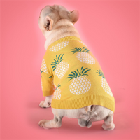 Pull chaud pour chien – Maille premium au design ananas