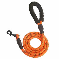 Laisse réfléchissante en nylon tressé pour chien – pour la promenade et le dressage