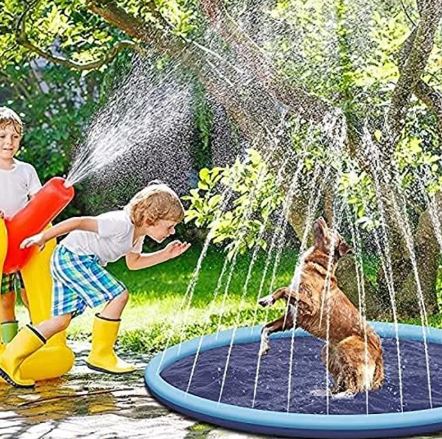 Bassin pliable d’été pour chiens et chats