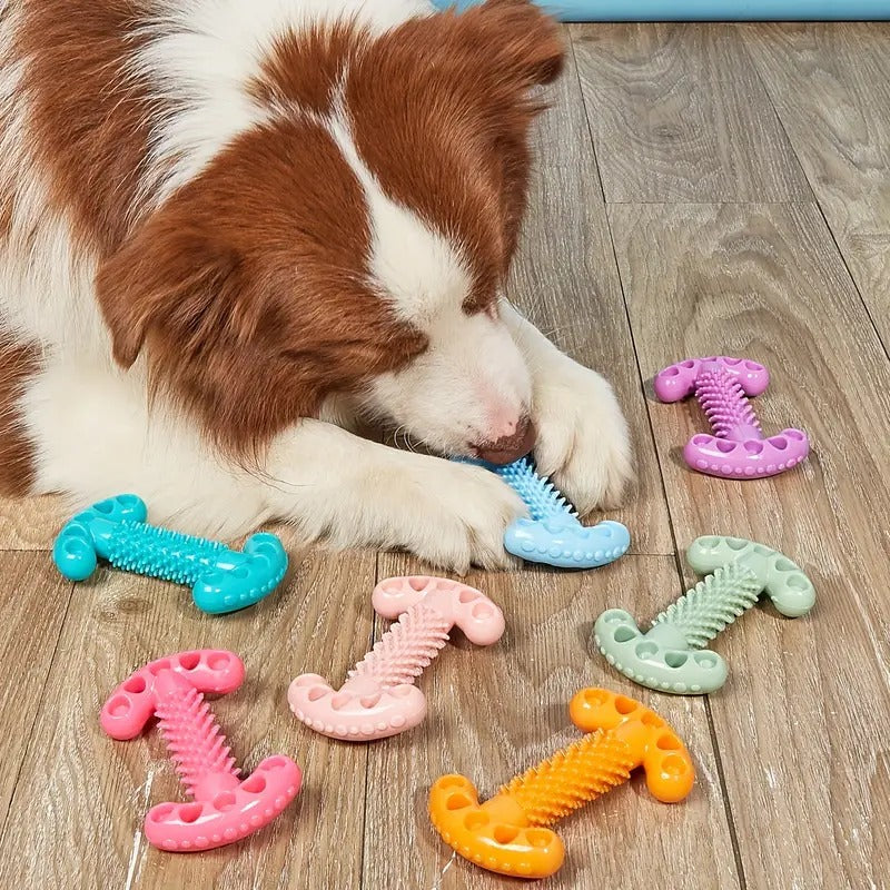 Jouet éducatif pour chien en forme d’os, résistant aux morsures et pour le nettoyage des dents