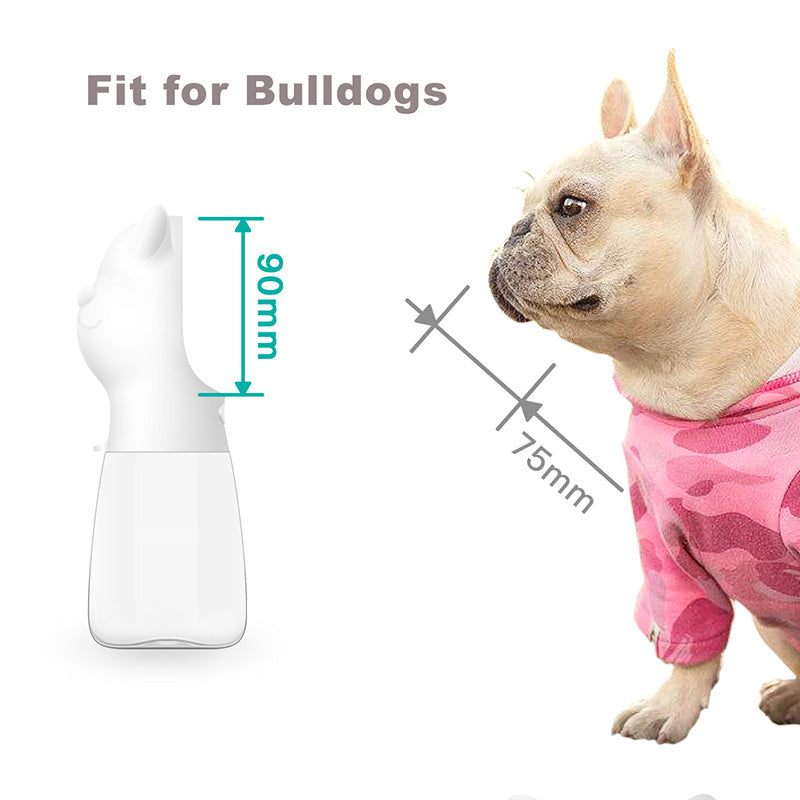 Gourde d’eau pour chien