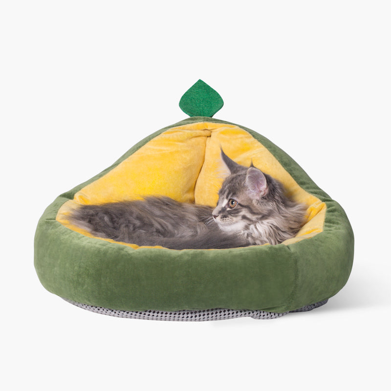 Coussin Amovible pour Chat et Petits Animaux
