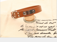Collier Personnalisé pour Chien