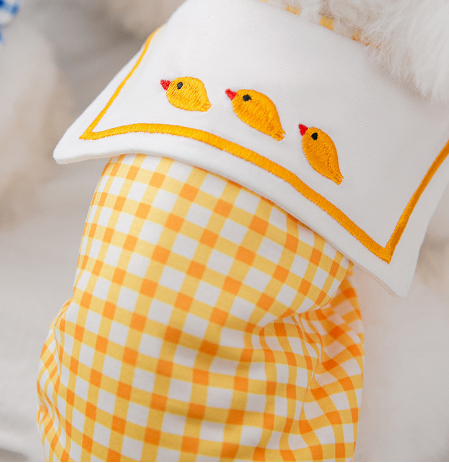 T-shirt pour chiens et chats – Vêtements pour petits et moyens animaux premium