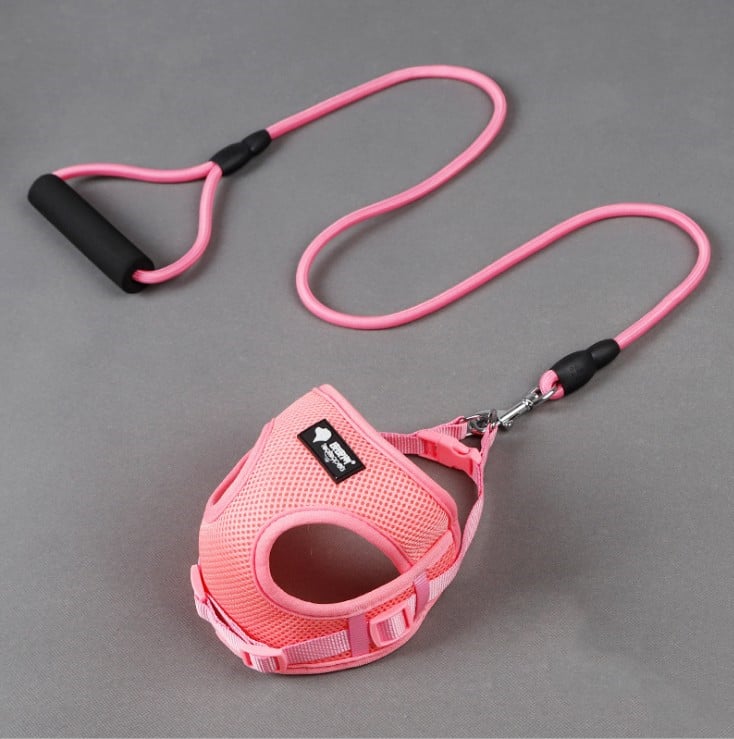 Set laisse et collier pour chiens et animaux de compagnie
