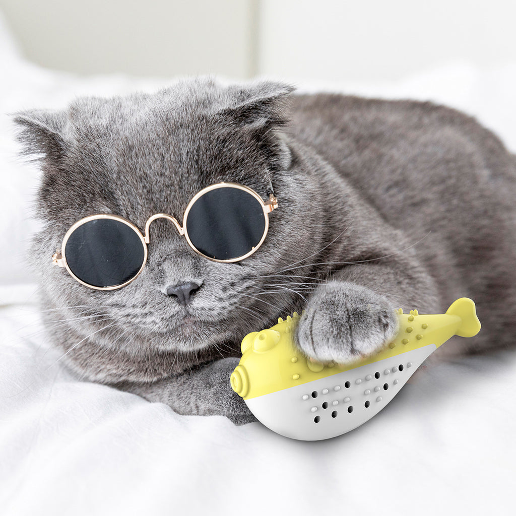 Jouet pour chat en forme de poisson à la menthe avec brosse à dents – soin dentaire