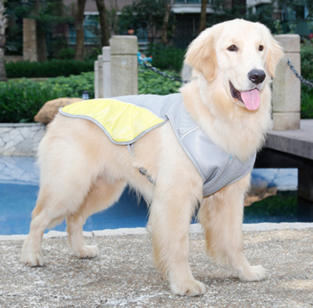 Gilet rafraîchissant d’été pour chien – vêtement respirant pour animaux