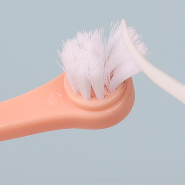 Brosse à dents pour chiens et chats – soins bucco-dentaires