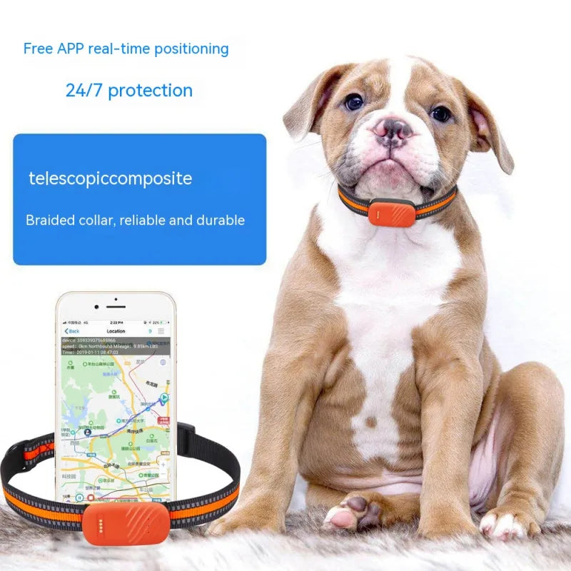 Localisateur GPS imperméable pour chiens et chats