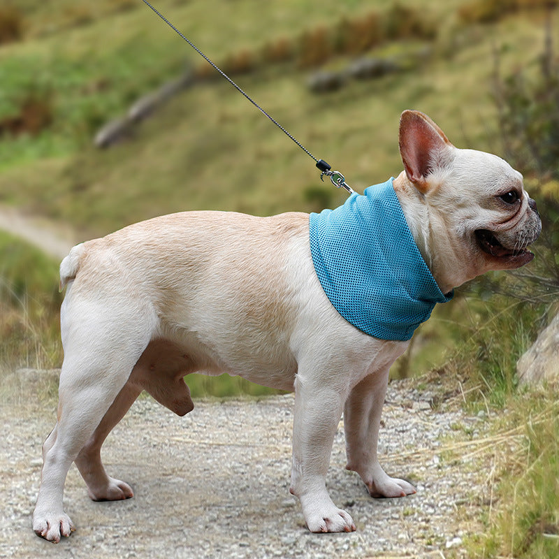 Foulard rafraîchissant pour chien – design triangle “ice cooling”