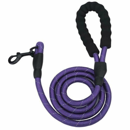 Laisse réfléchissante en nylon tressé pour chien – pour la promenade et le dressage